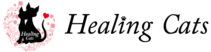 犬山市周辺地域にて、婚活・転職・セカンドキャリアなど女性の悩みにカウンセリングで向き合っています。